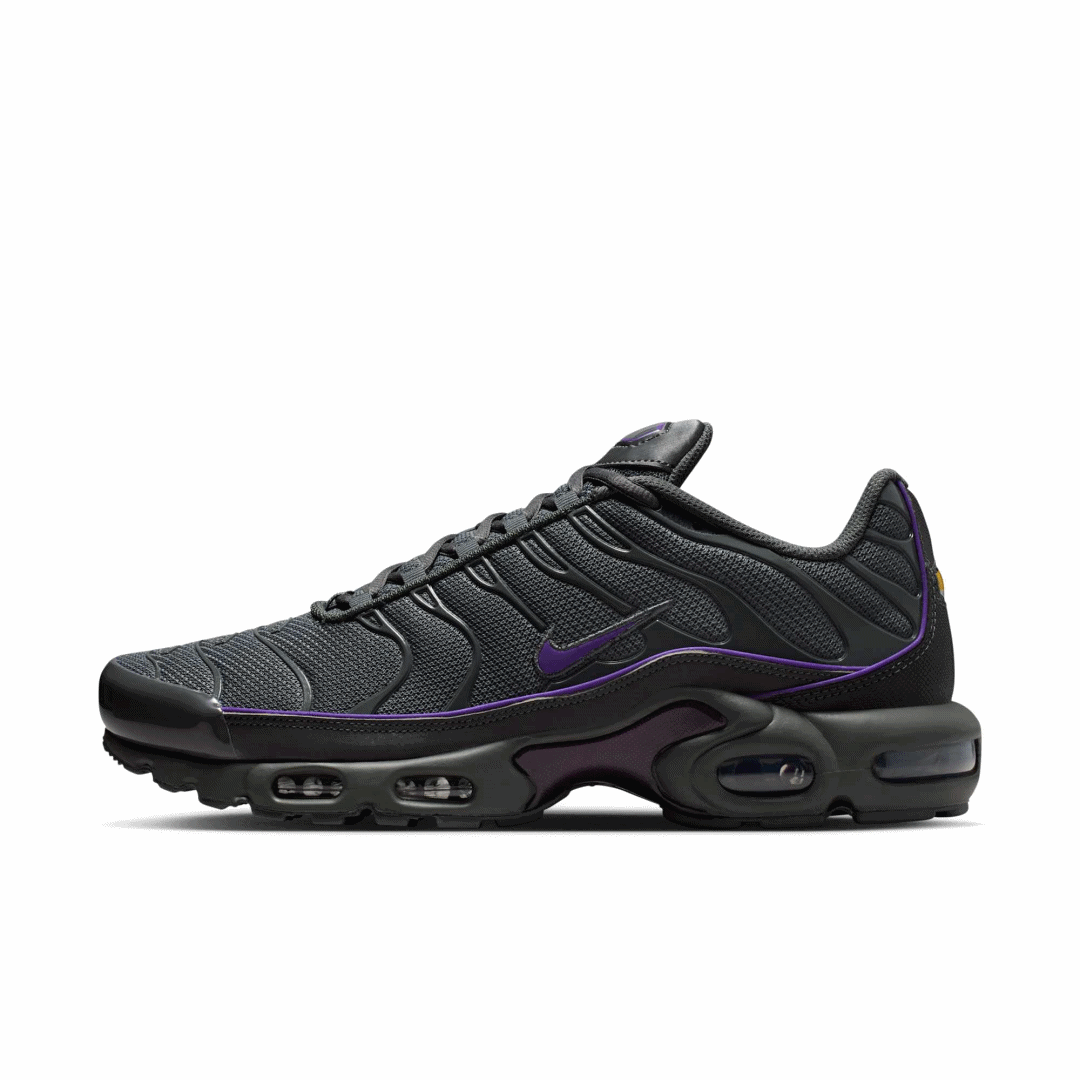 【2025年 秋 発売予定】NIKE AIR MAX PLUS “Reflective/Iron Grey/Wild Grape” (ナイキ エア マックス プラス “リフレクティブ/アイアングレー/ワイルドグレープ”) [HV8066-001]