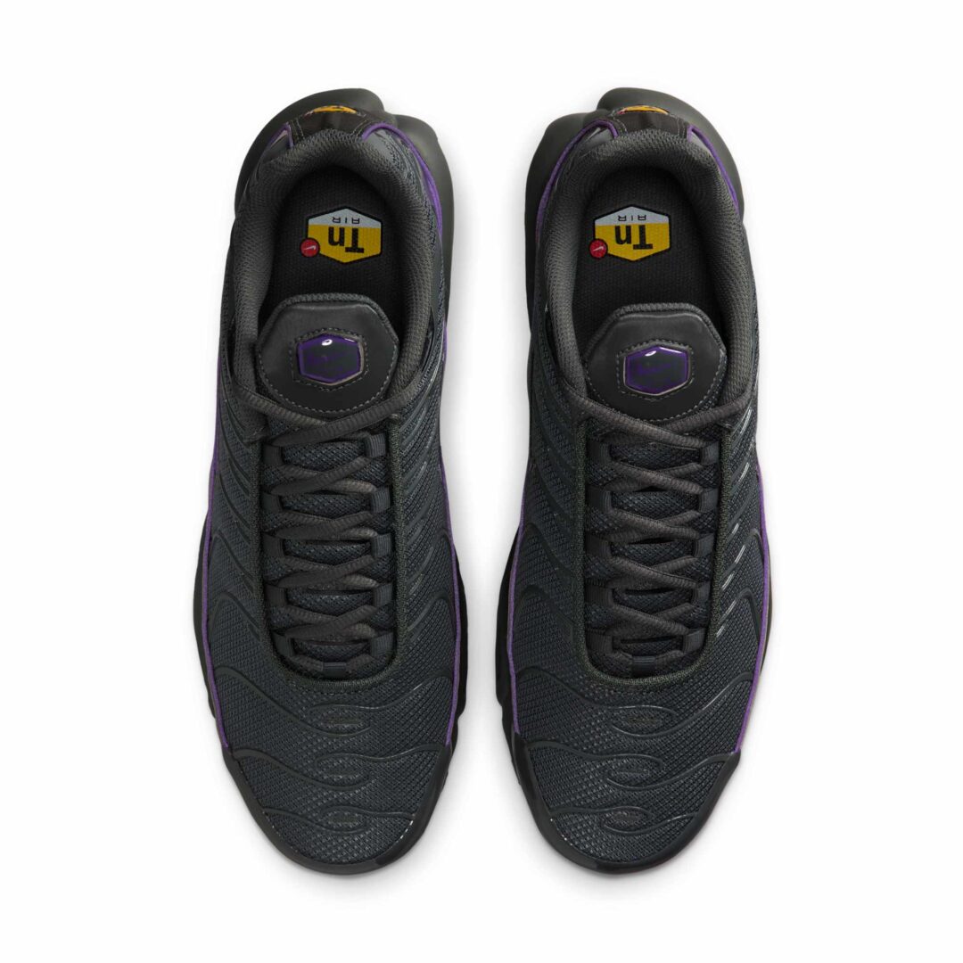【2025年 秋 発売予定】NIKE AIR MAX PLUS “Reflective/Iron Grey/Wild Grape” (ナイキ エア マックス プラス “リフレクティブ/アイアングレー/ワイルドグレープ”) [HV8066-001]