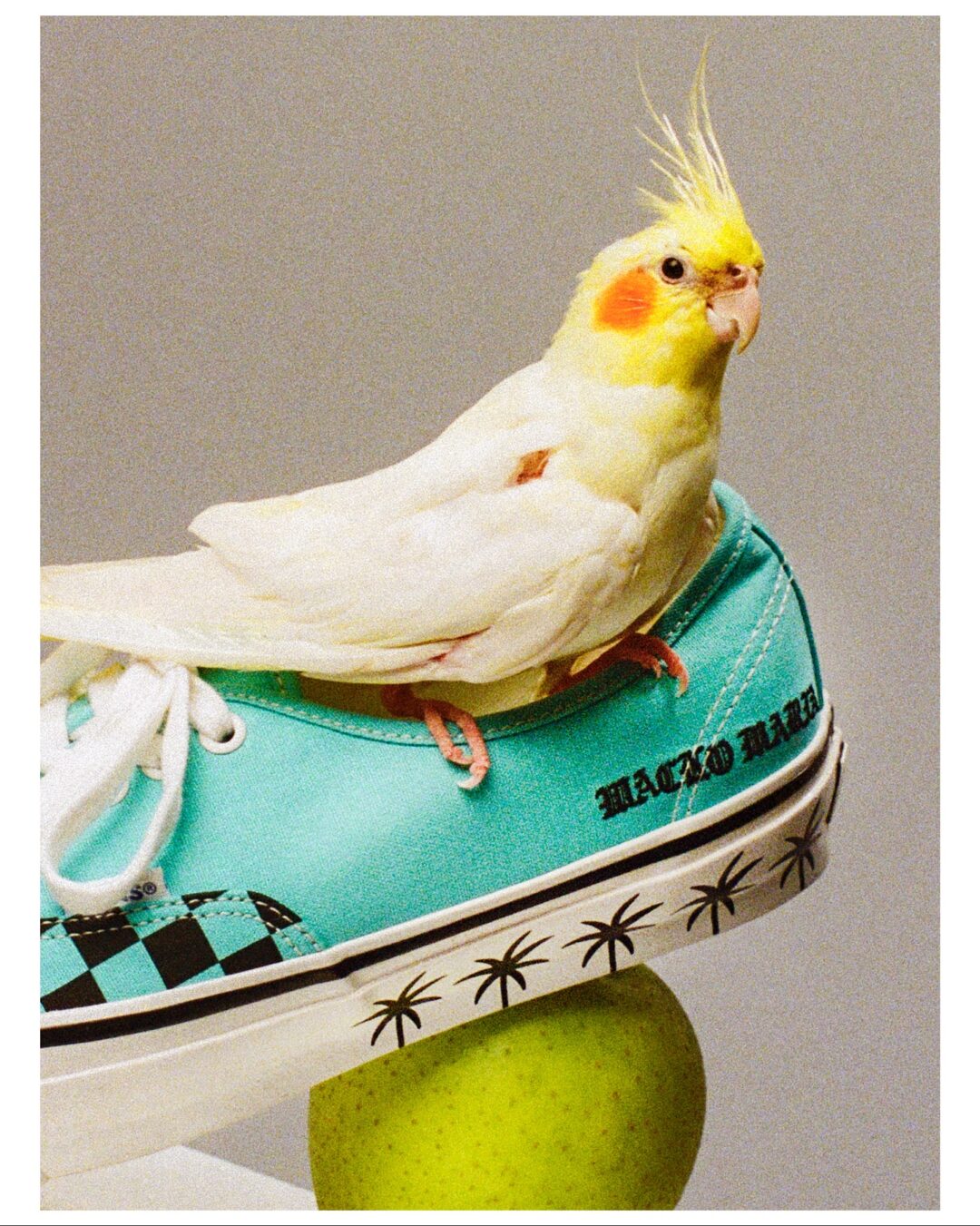 【2025年 8/23 発売】VANS x WACKO MARIA LX AUTHENTIC 44 “Palm Tree & Checkerboard – White / Blue” (バンズ ワコマリア オーセンティック)
