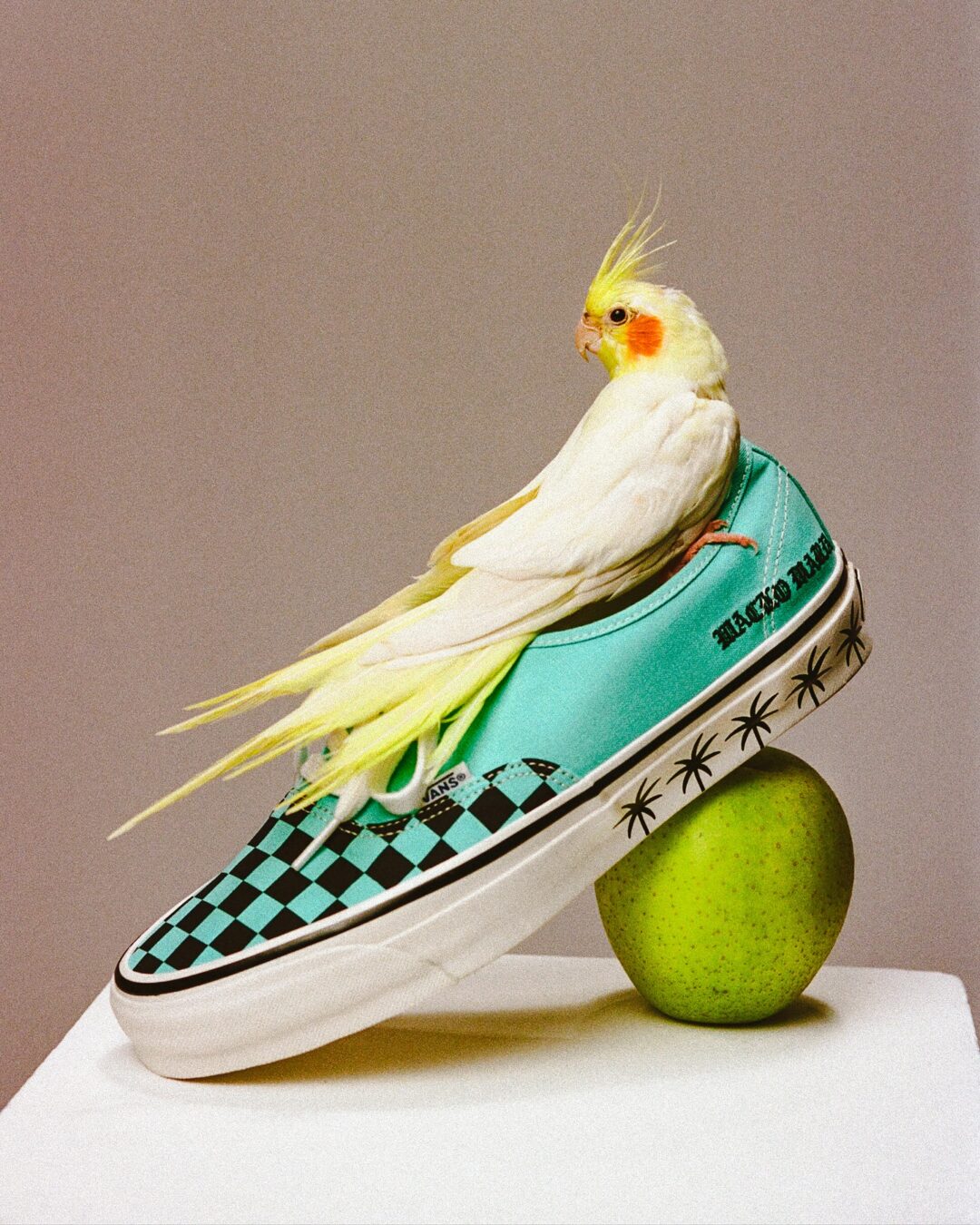 【2025年 8/23 発売】VANS x WACKO MARIA LX AUTHENTIC 44 “Palm Tree & Checkerboard – White / Blue” (バンズ ワコマリア オーセンティック)