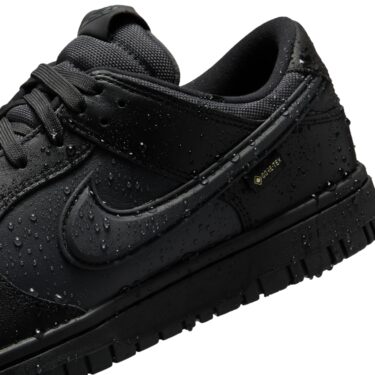 【2025年 発売予定】NIKE DUNK LOW GORE-TEX “Triple Black” (ナイキ ダンク ロー ゴアテックス “トリプルブラック”) [HQ2053-001]