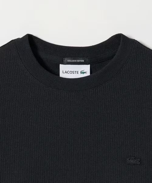 LACOSTE for BEAUTY&YOUTH 2025 FW “ワントーン ロングスリーブ Tシャツ”が2025年 8/28 発売 (ラコステ ビューティアンドユース)