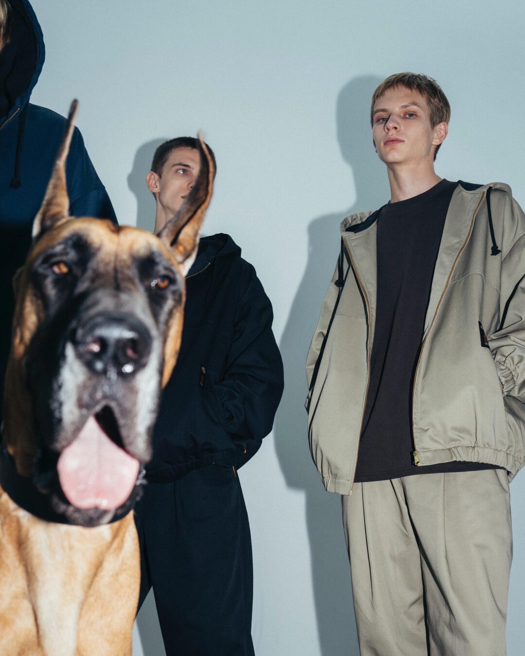 September Collection for SEE SEE × Dickies コラボが2025年 9/30 発売 (シーシー ディッキーズ)