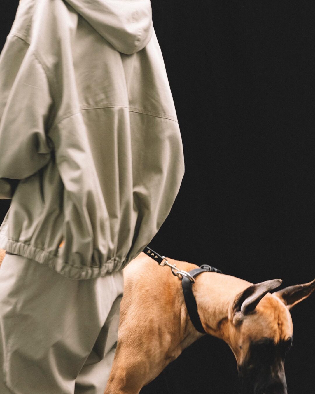 September Collection for SEE SEE × Dickies コラボが2025年 9/30 発売 (シーシー ディッキーズ)