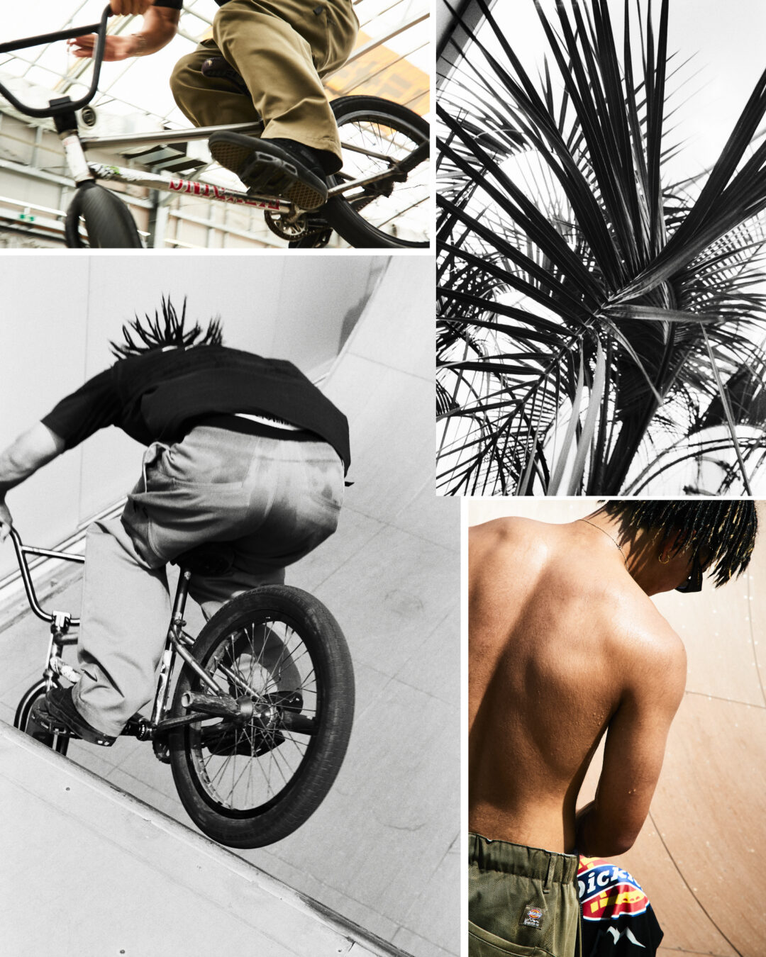 MANASTASH × Dickies コラボアイテムが発売 (マナスタッシュ ディッキーズ)