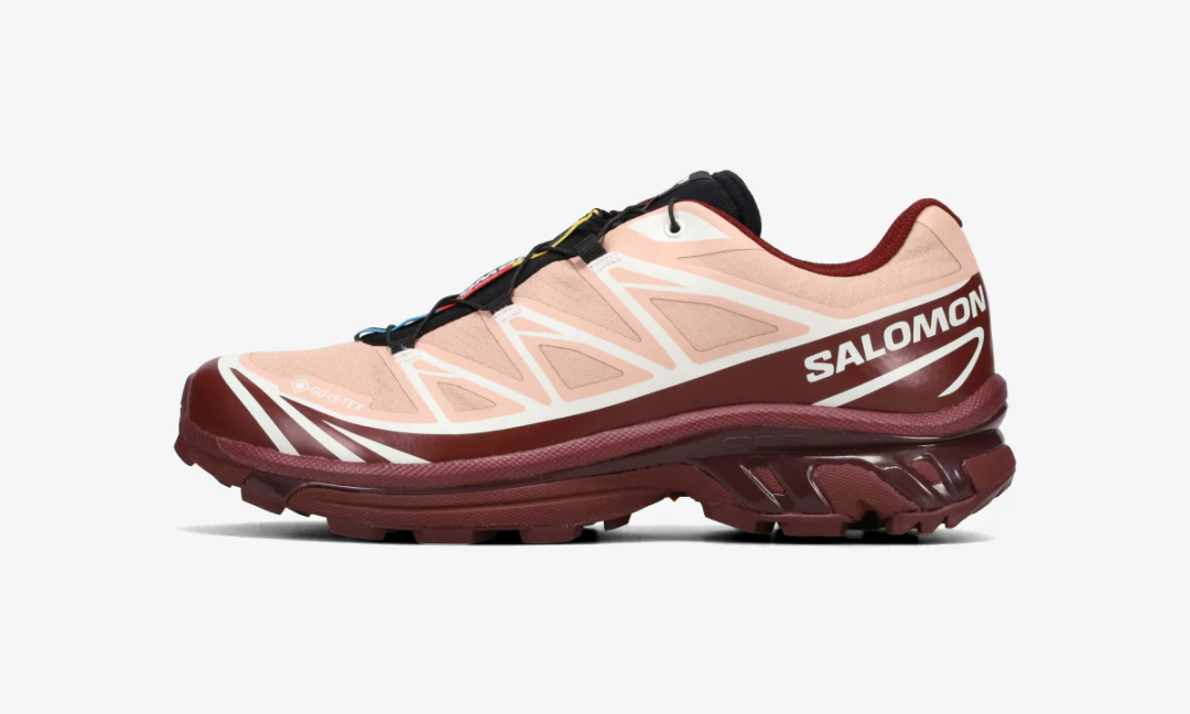 【2025年 10/4 発売】Salomon XT-6 GORE-TEX GTX “Mahogany Rose/Tawny Port/Black” (サロモン ゴアテックス) [L47863700]