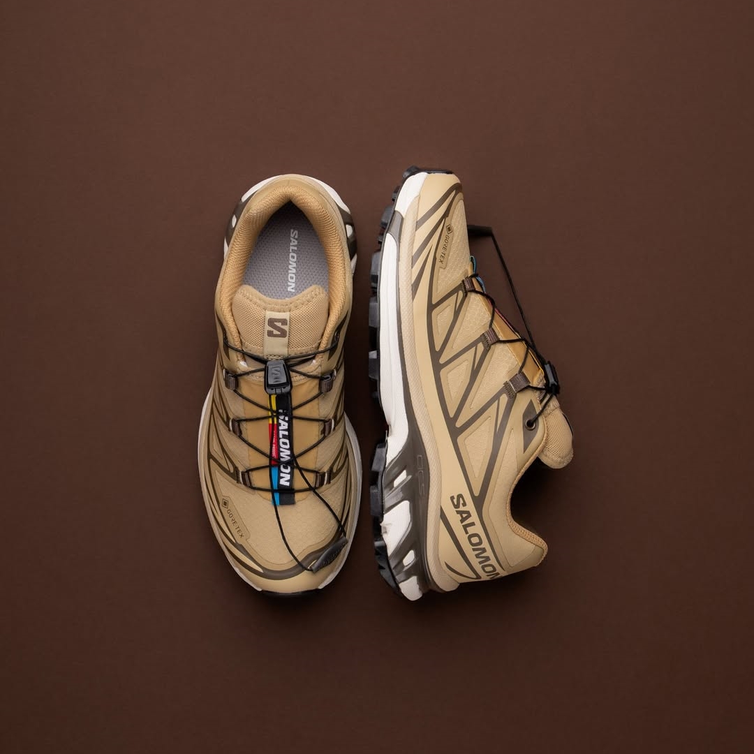 【2025年 10/4 発売】Salomon XT-6 GORE-TEX GTX “Kelp/Wren/Safari” (サロモン ゴアテックス) [L47975000]