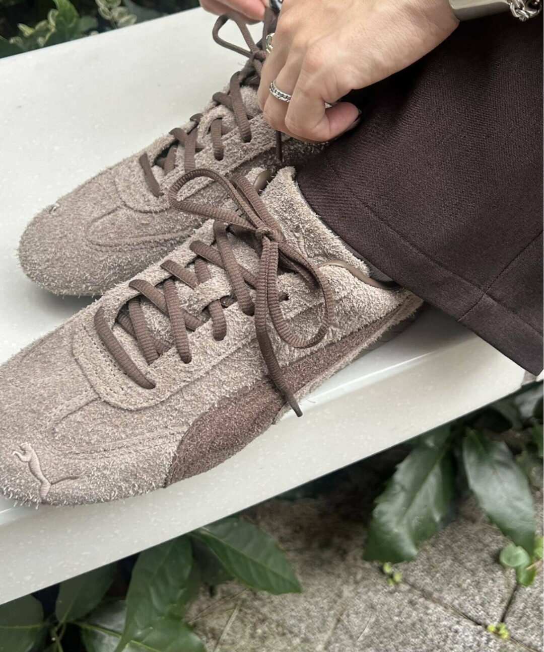 【2025年 11月中旬 発売】JOURNAL STANDARD 限定カラー PUMA SPEEDCAT OG “Taupe/Chocolate” (ジャーナルスタンダード プーマ スピードキャット “トープ/チョコレート”)