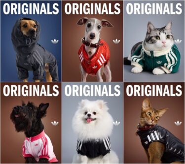 adidas Originals "Pet Collection 2025 FALL"が海外で発売 (アディダス オリジナルス "ペットコレクション 2025 秋/フォール")
