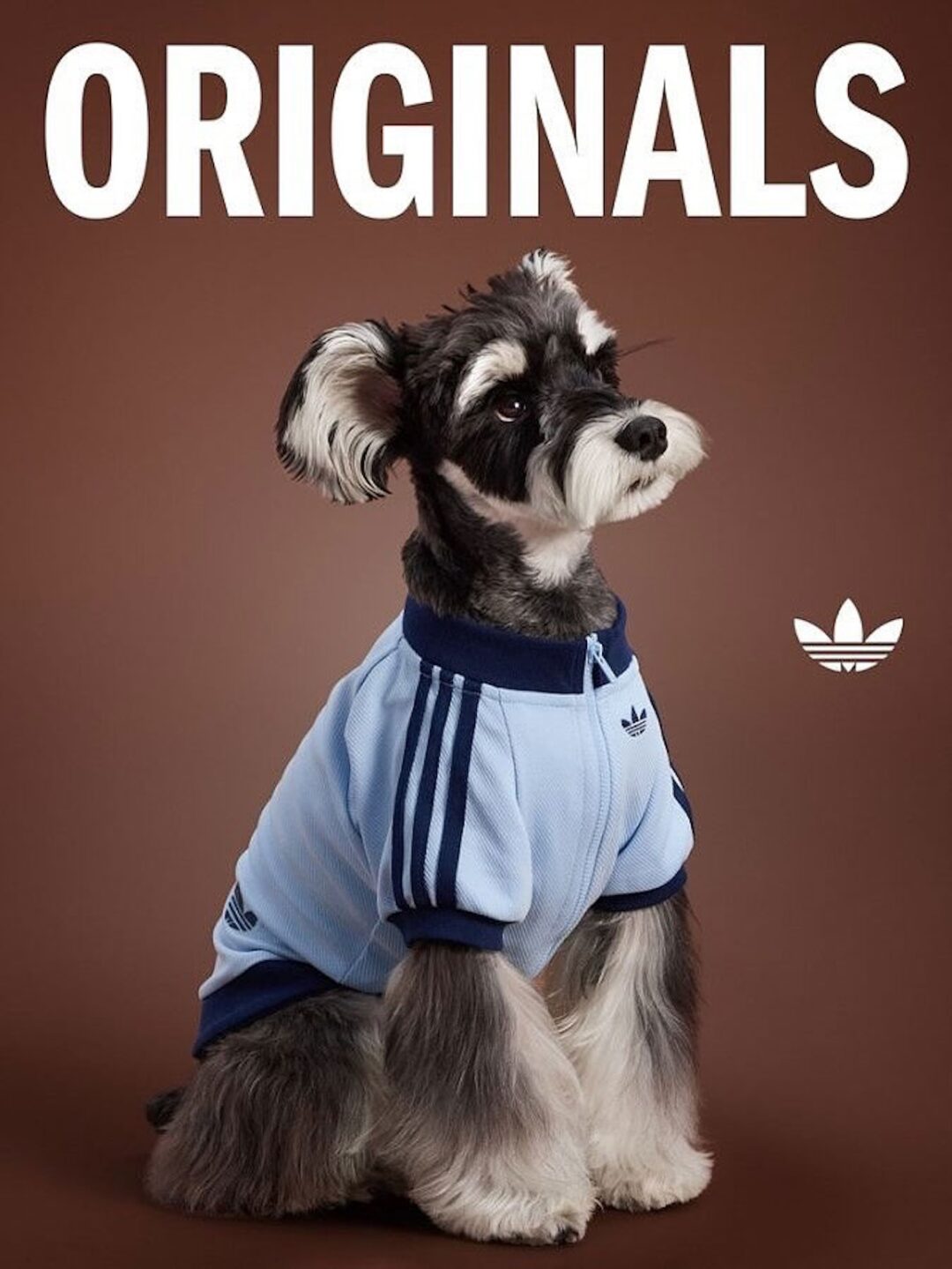 adidas Originals “Pet Collection 2025 FALL”が海外で発売 (アディダス オリジナルス “ペットコレクション 2025 秋/フォール”)