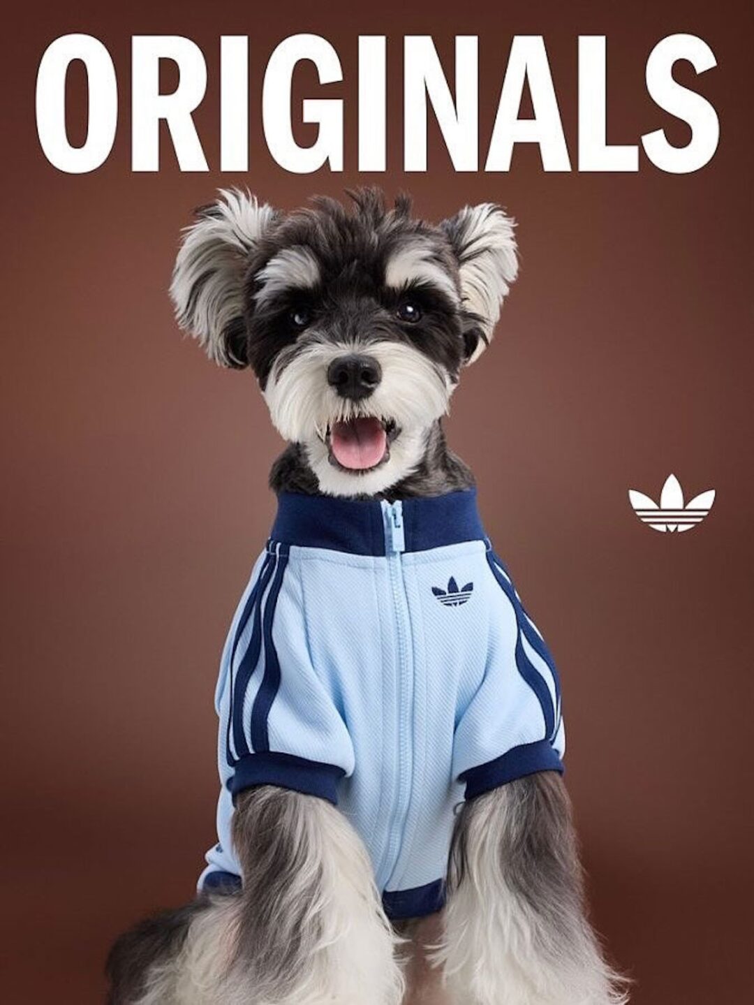 adidas Originals “Pet Collection 2025 FALL”が海外で発売 (アディダス オリジナルス “ペットコレクション 2025 秋/フォール”)