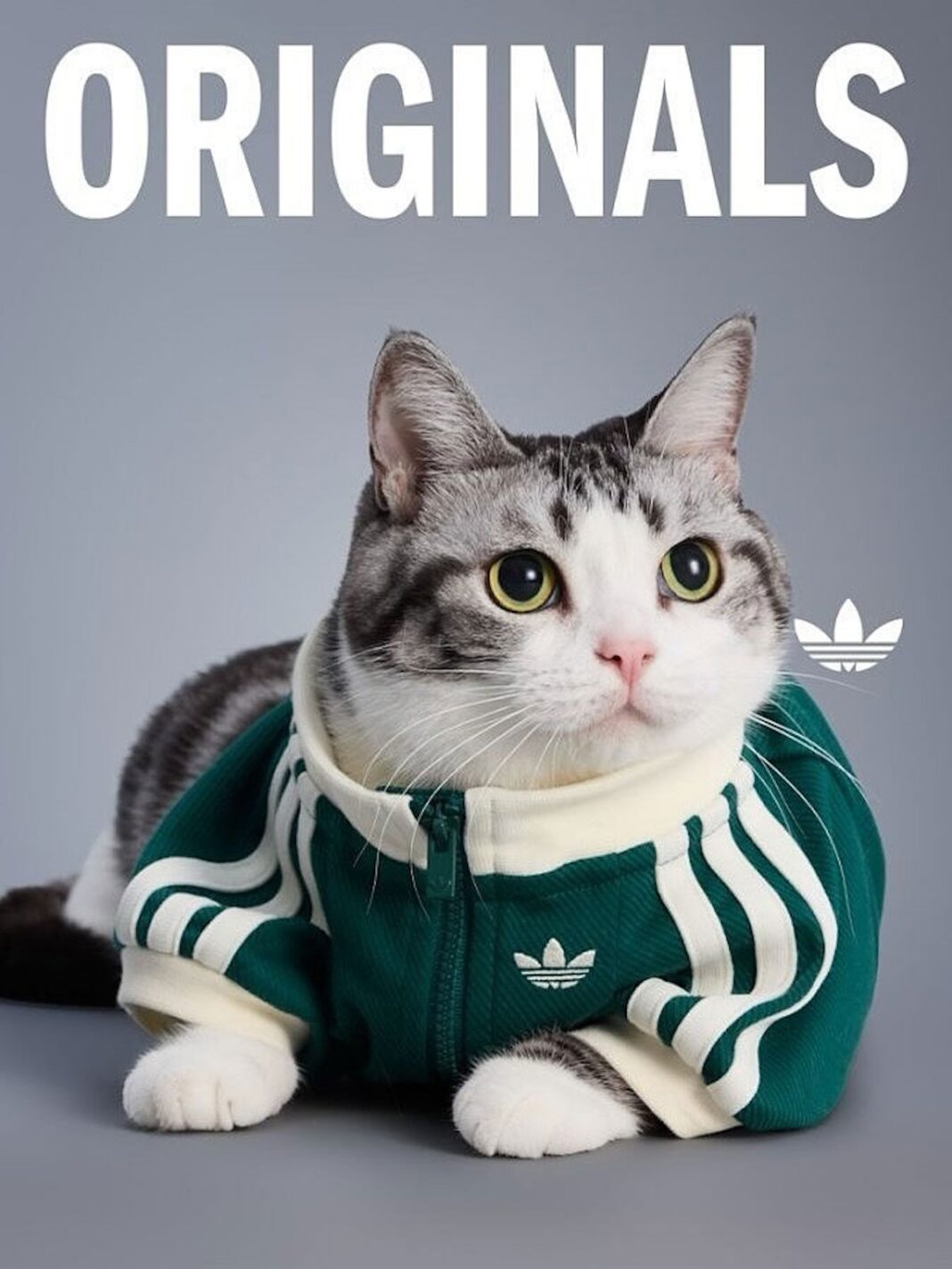 adidas Originals “Pet Collection 2025 FALL”が海外で発売 (アディダス オリジナルス “ペットコレクション 2025 秋/フォール”)