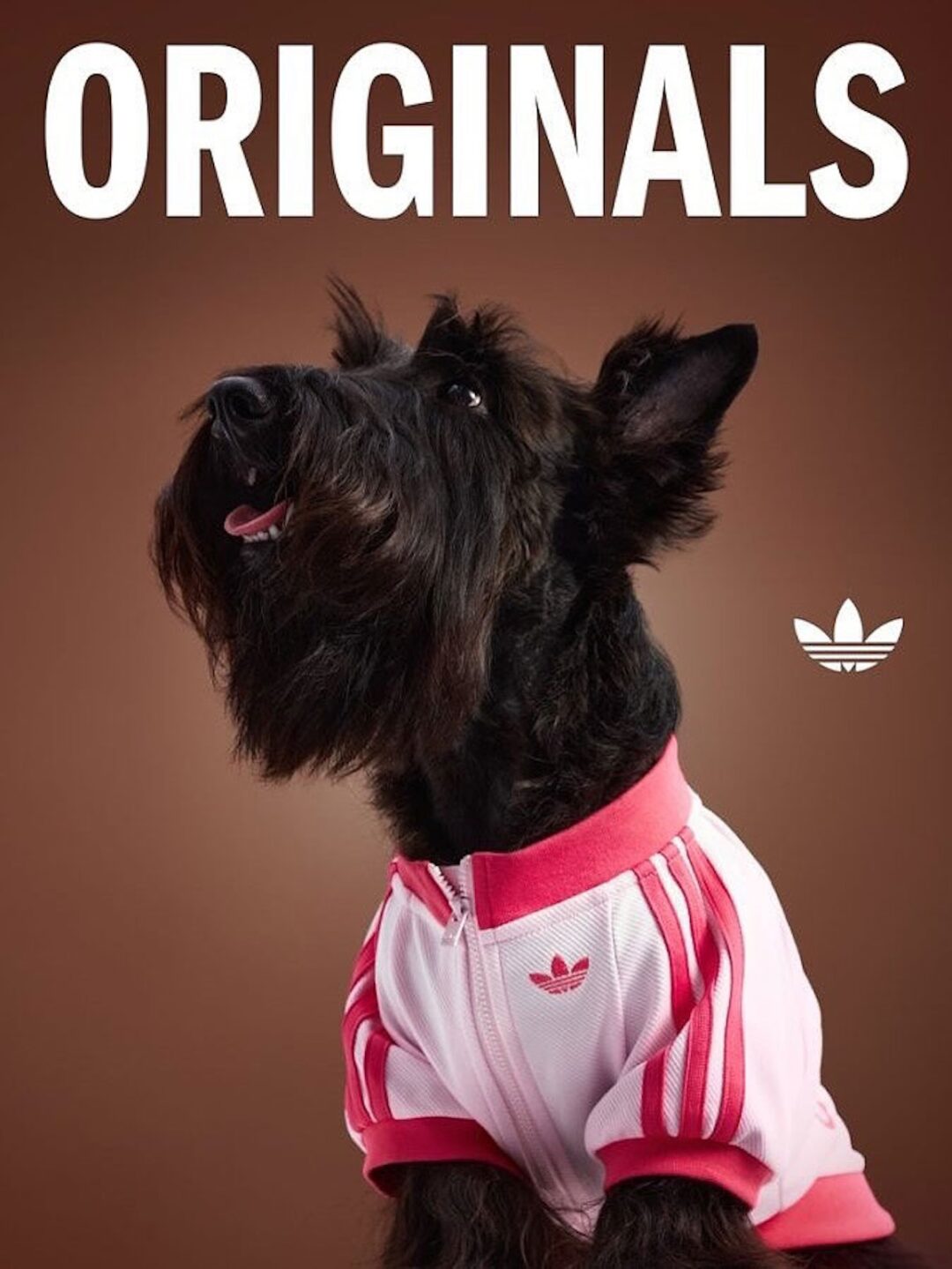 adidas Originals “Pet Collection 2025 FALL”が海外で発売 (アディダス オリジナルス “ペットコレクション 2025 秋/フォール”)