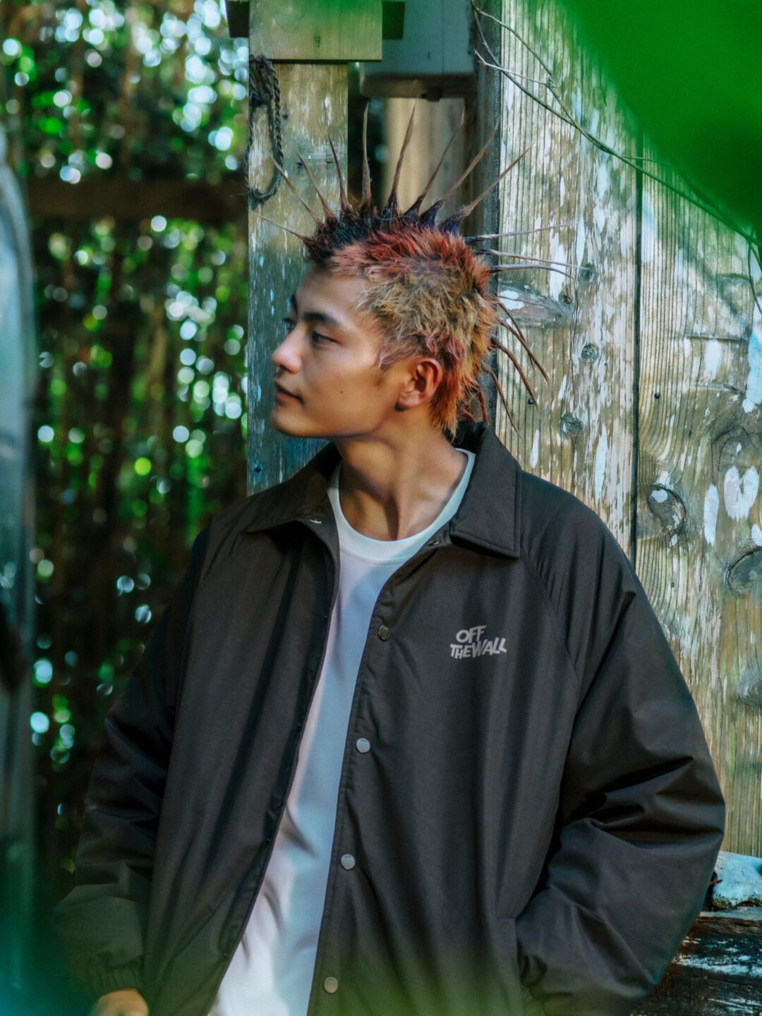 【2025年 11/7 & 11/8 発売】花井祐介/Yusuke Hanai × VANS Artist Collection 第2弾 (バンズ アーティスト コレクション)