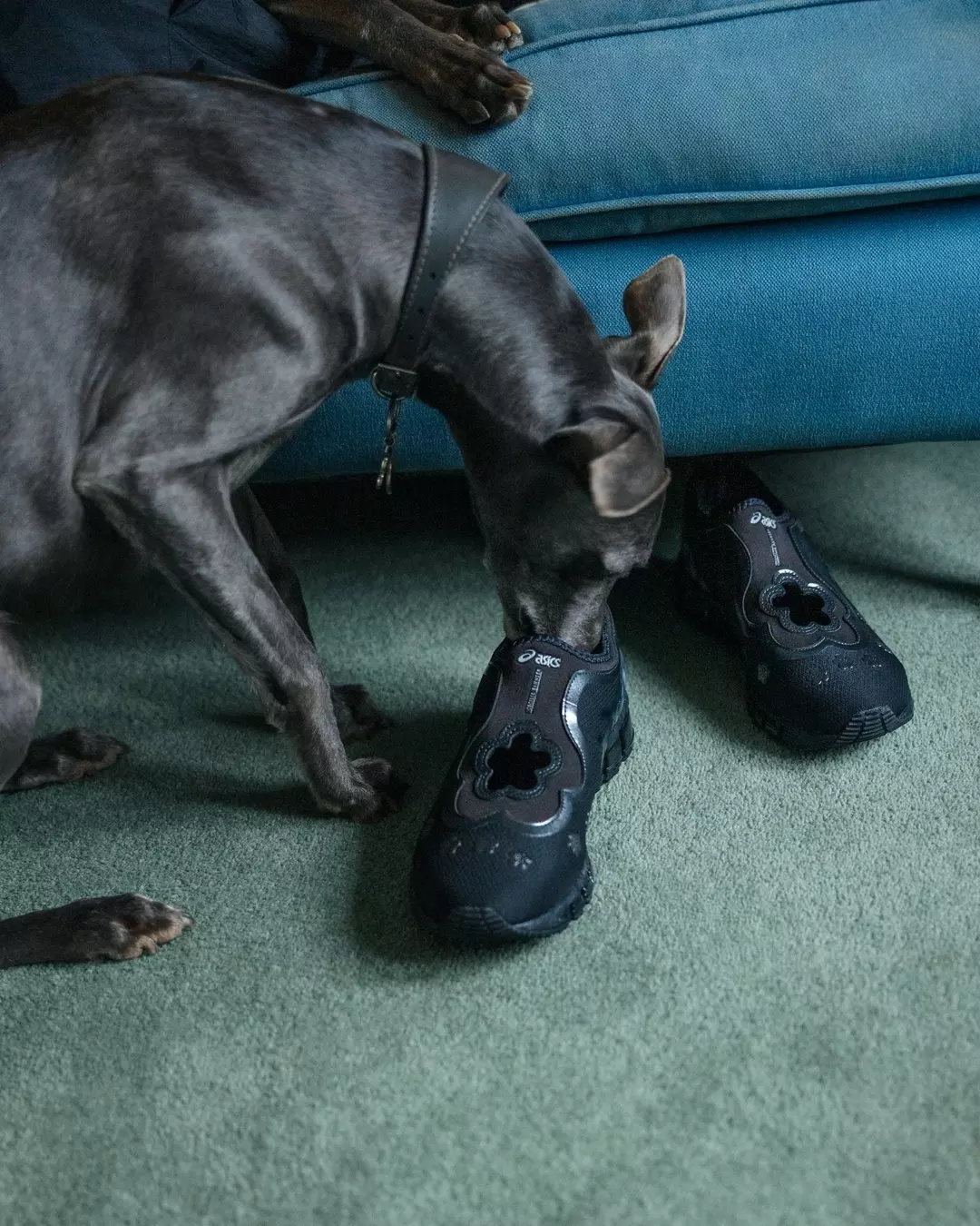 【2026年 4/18 発売】Cecilie Bahnsen x ASICS GEL-QUANTUM 360 I 2026 SS (セシリー バンセン アシックス ゲルクォンタム)