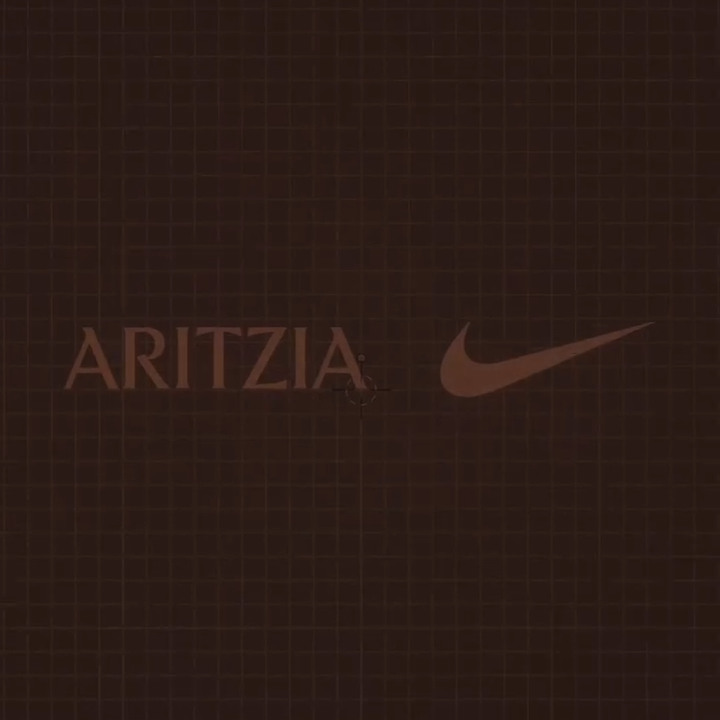 【2025年 10/30 発売予定】Aritzia x NIKE LD-1000 (アリツィア ナイキ)
