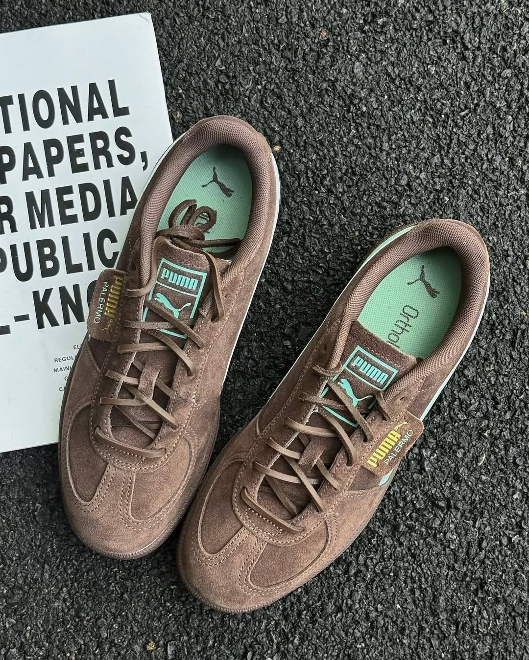 【2025年 発売】PUMA PALERMO “Mint Brown” (プーマ パレルモ) [406464-01]