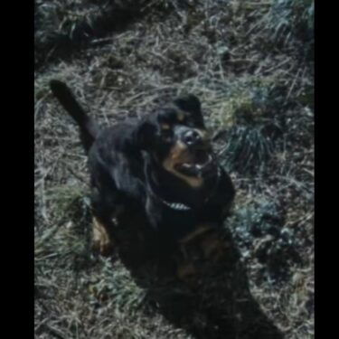 【近日発売】Stone Island x New Balance 2025 FW (ストーンアイランド ニューバランス 2025年 秋冬)