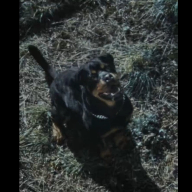 【近日発売】Stone Island x New Balance 2025 FW (ストーンアイランド ニューバランス 2025年 秋冬)