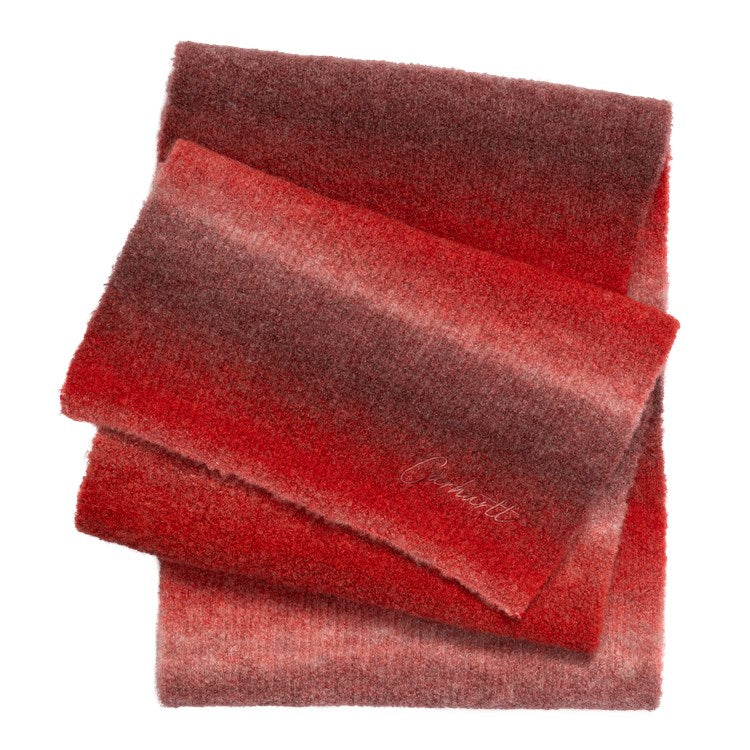 Carhartt WIP 2025 FW 最新アイテムが11/15 発売 (カーハート ワークインプログレス 2025年 秋冬)