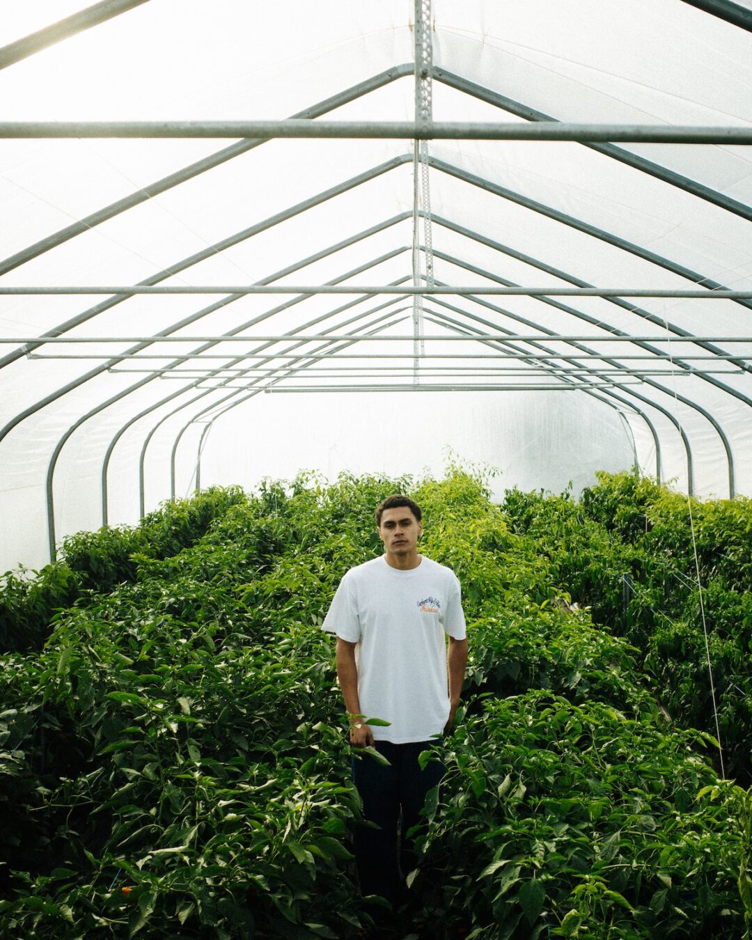 Carhartt WIP × BSTN “FEINKOST PACK”が2025年 11/8 発売 (カーハート ボストン)