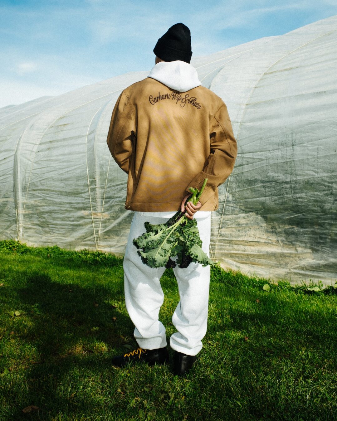 Carhartt WIP × BSTN “FEINKOST PACK”が2025年 11/8 発売 (カーハート ボストン)