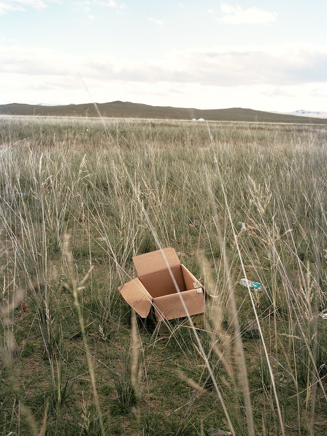 GORE-TEX × thisisneverthat 2025 FW コラボレーションが11/14 発売 (ディスイズネバーザット ゴアテックス)