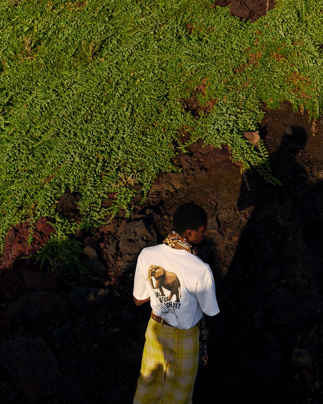 STARBUCKS STAND by BEAMS SEASONAL Collection 第1弾「KENYA」が2025年 12/12 発売 (スターバックス ビームス ケニア)