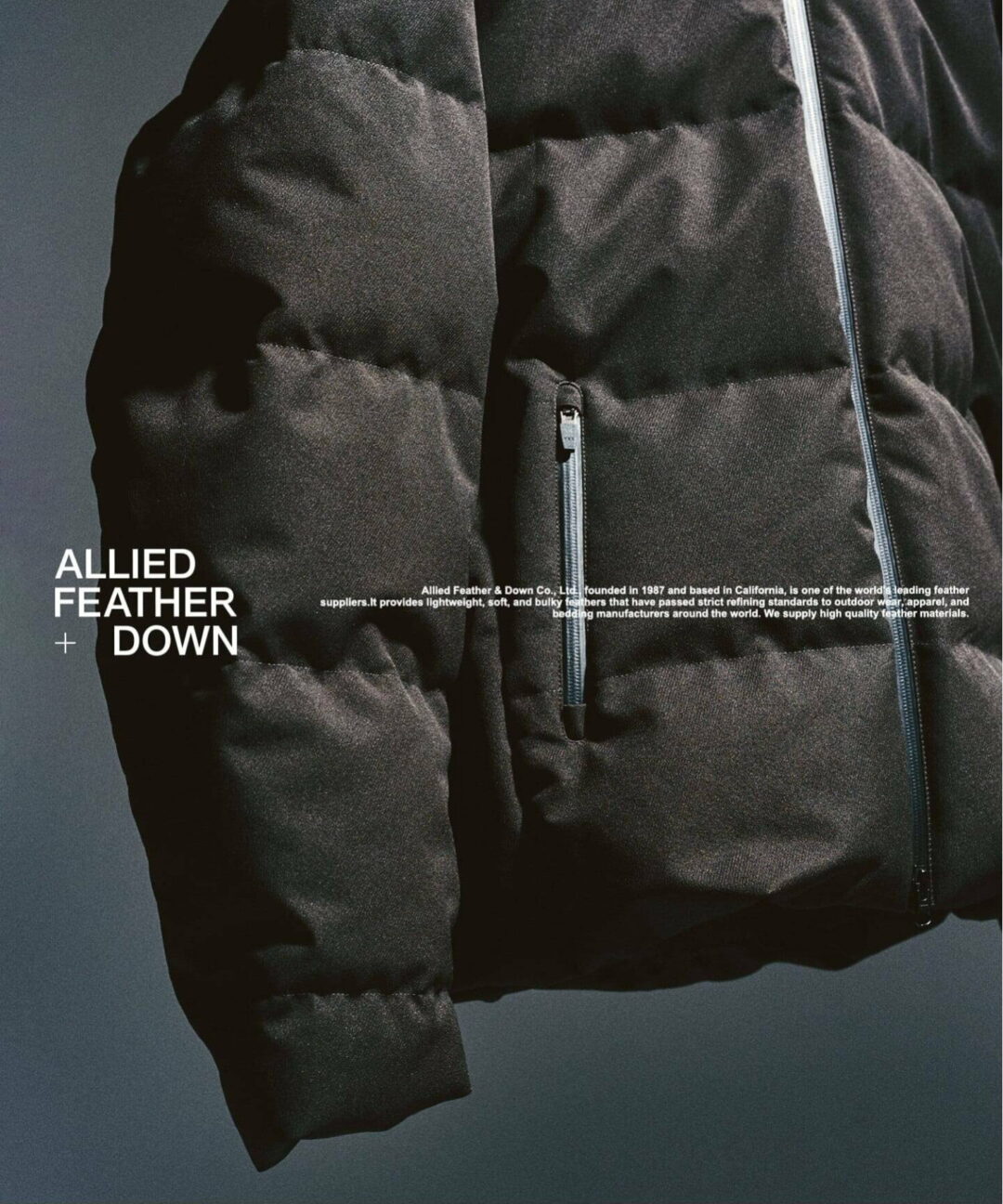 417 EDIFICE 2025 FW “ALLIED FEATHER+DOWN”が発売 (エディフィス アライド ダウンブルゾン)