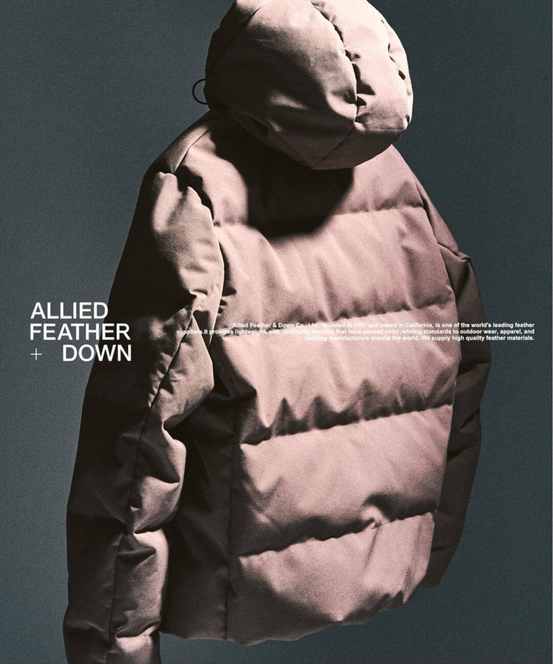 417 EDIFICE 2025 FW “ALLIED FEATHER+DOWN”が発売 (エディフィス アライド ダウンブルゾン)