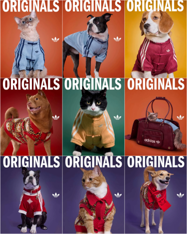 adidas Originals "Pet Collection 2026 New Year"が海外発売予定 (アディダス オリジナルス "ペットコレクション 2026年")