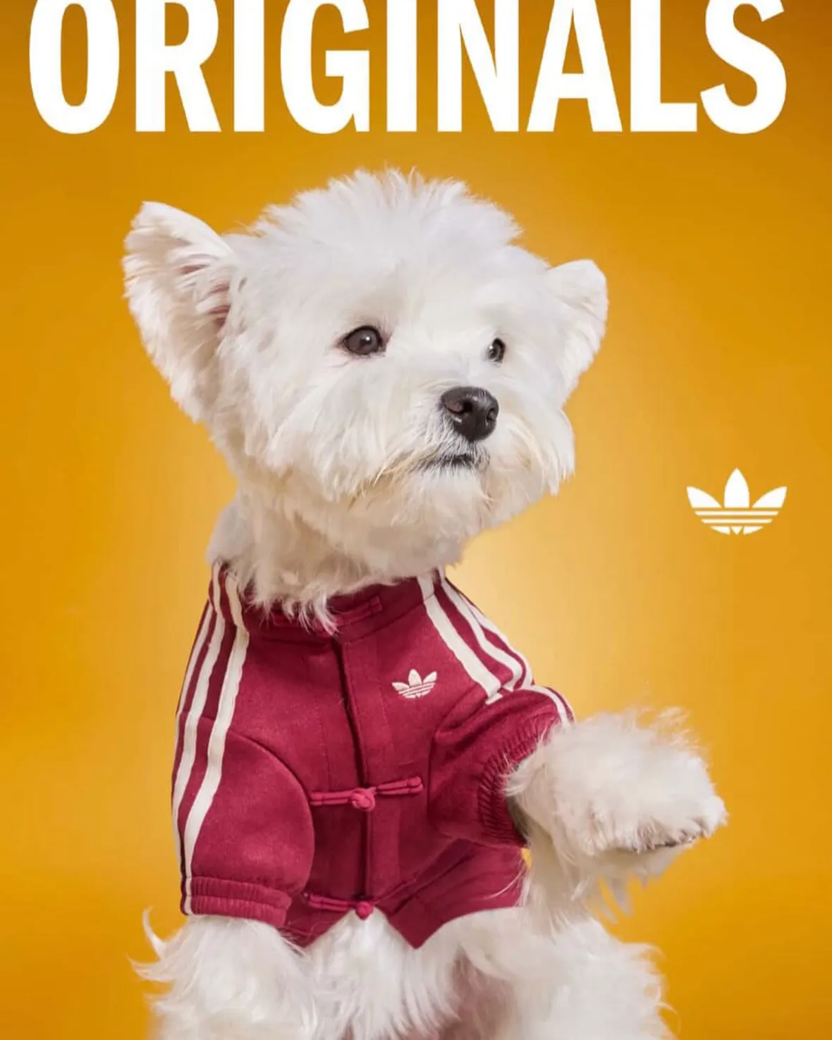 adidas Originals “Pet Collection 2026 New Year”が海外発売予定 (アディダス オリジナルス “ペットコレクション 2026年”)