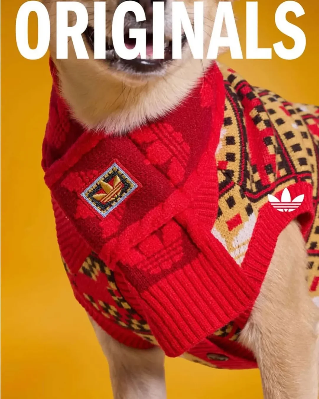 adidas Originals “Pet Collection 2026 New Year”が海外発売予定 (アディダス オリジナルス “ペットコレクション 2026年”)