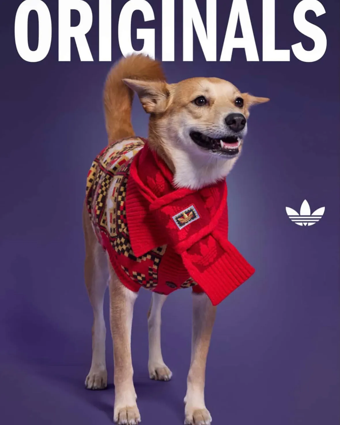adidas Originals “Pet Collection 2026 New Year”が海外発売予定 (アディダス オリジナルス “ペットコレクション 2026年”)