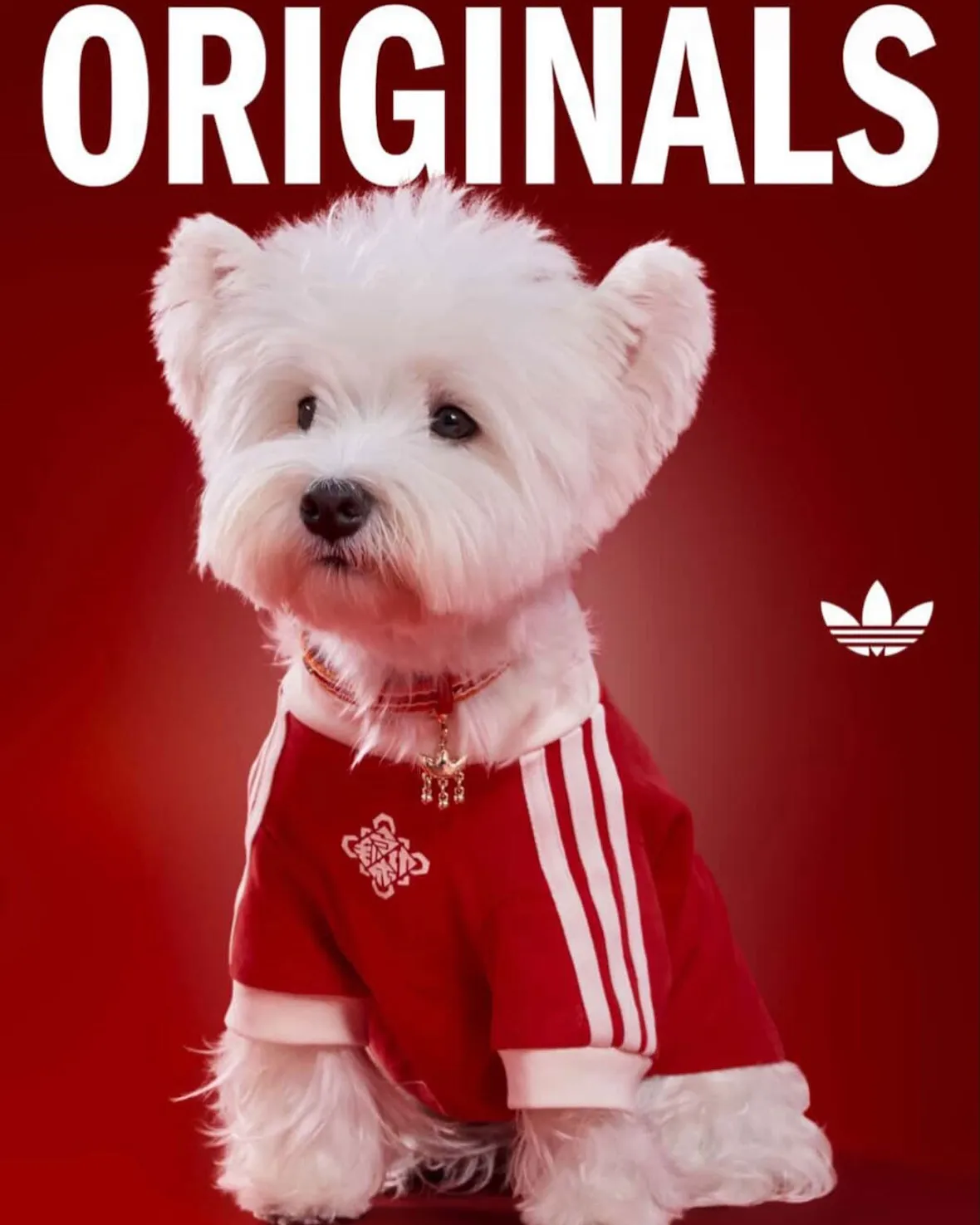 adidas Originals “Pet Collection 2026 New Year”が海外発売予定 (アディダス オリジナルス “ペットコレクション 2026年”)