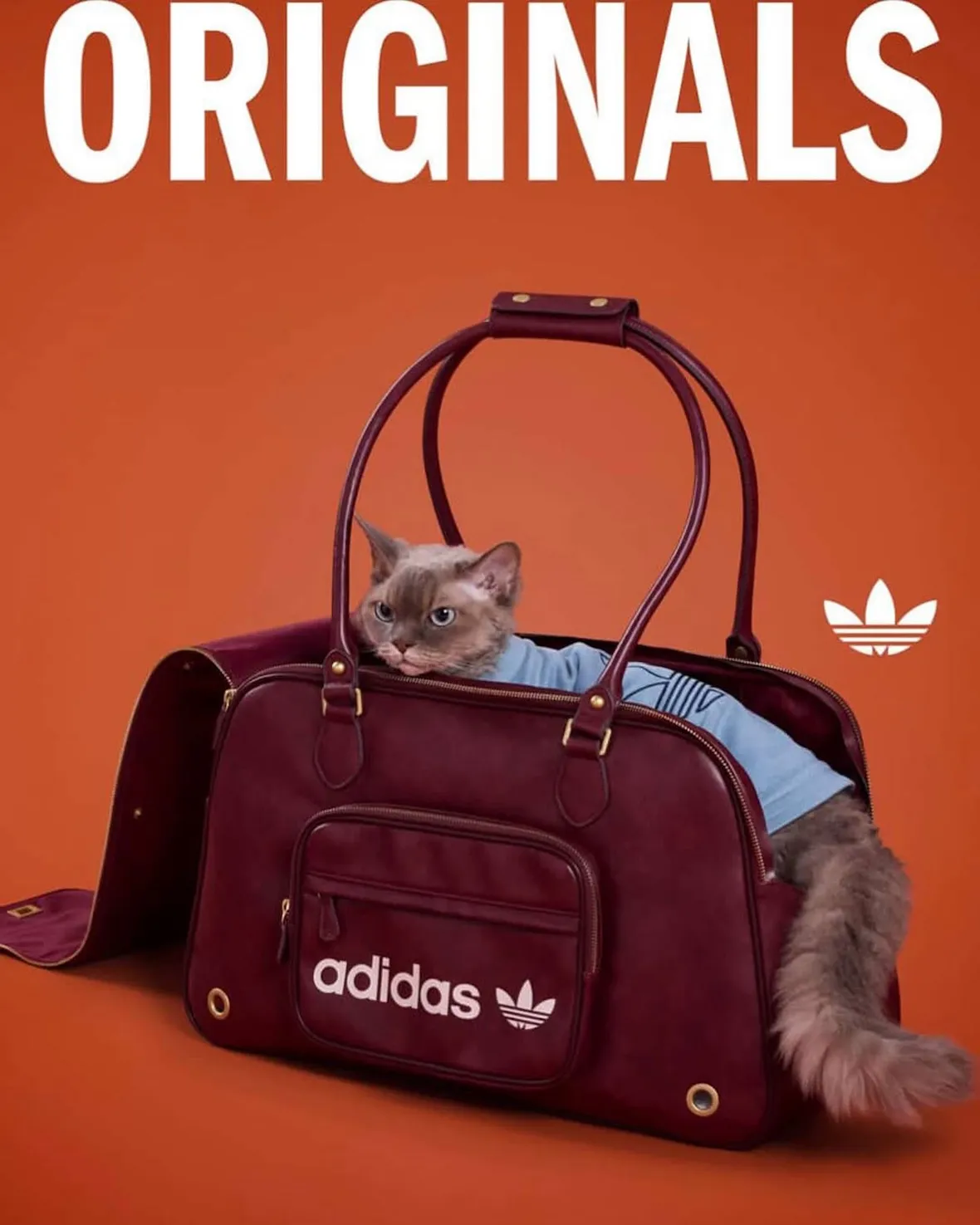 adidas Originals “Pet Collection 2026 New Year”が海外発売予定 (アディダス オリジナルス “ペットコレクション 2026年”)