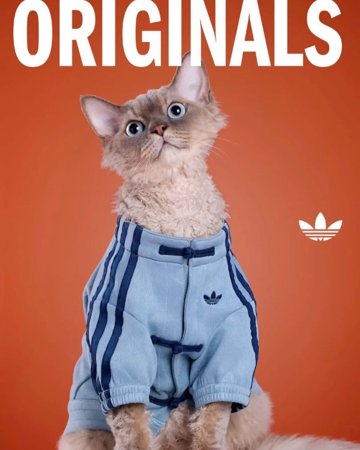 adidas Originals “Pet Collection 2026 New Year”が海外発売予定 (アディダス オリジナルス “ペットコレクション 2026年”)