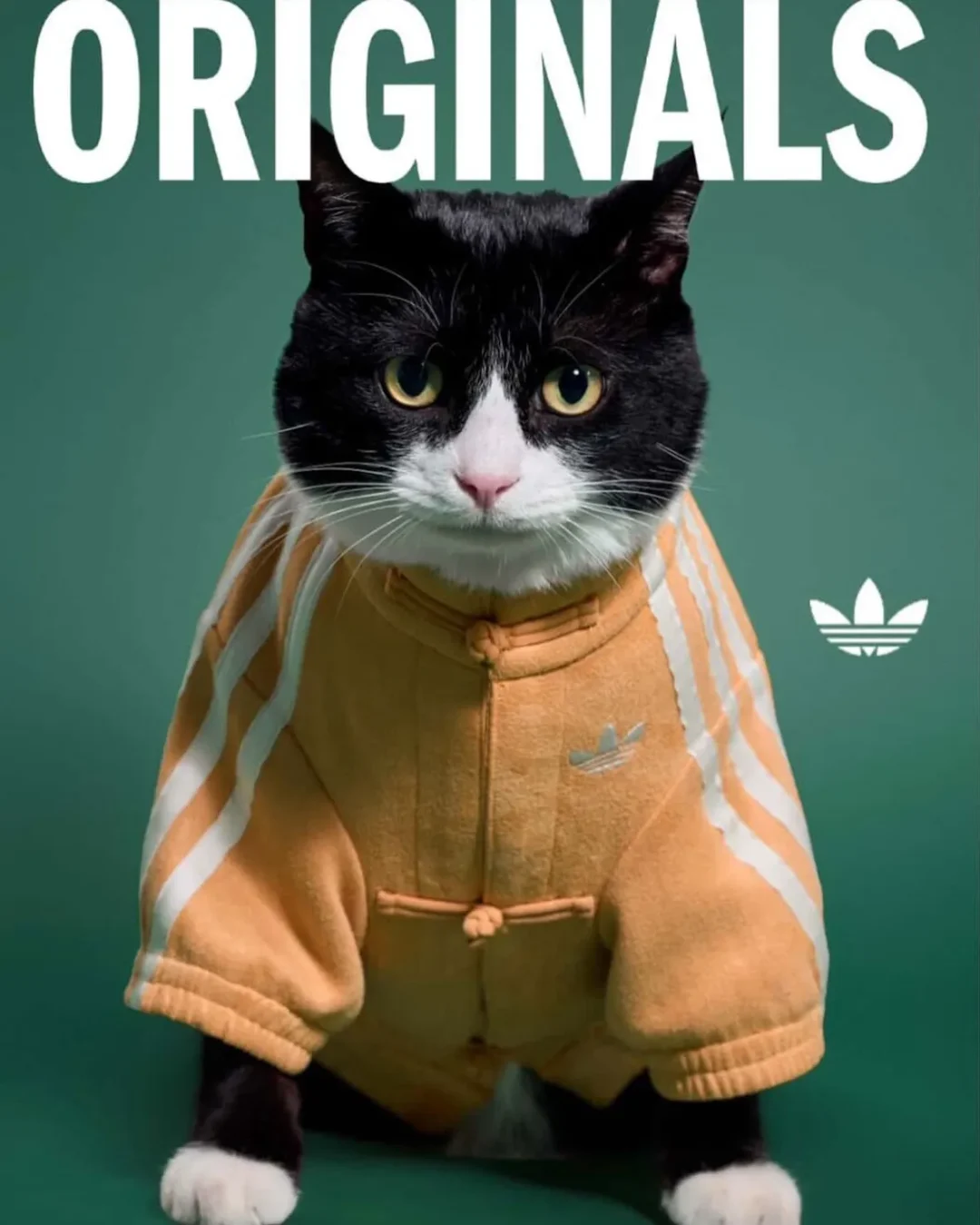 adidas Originals “Pet Collection 2026 New Year”が海外発売予定 (アディダス オリジナルス “ペットコレクション 2026年”)