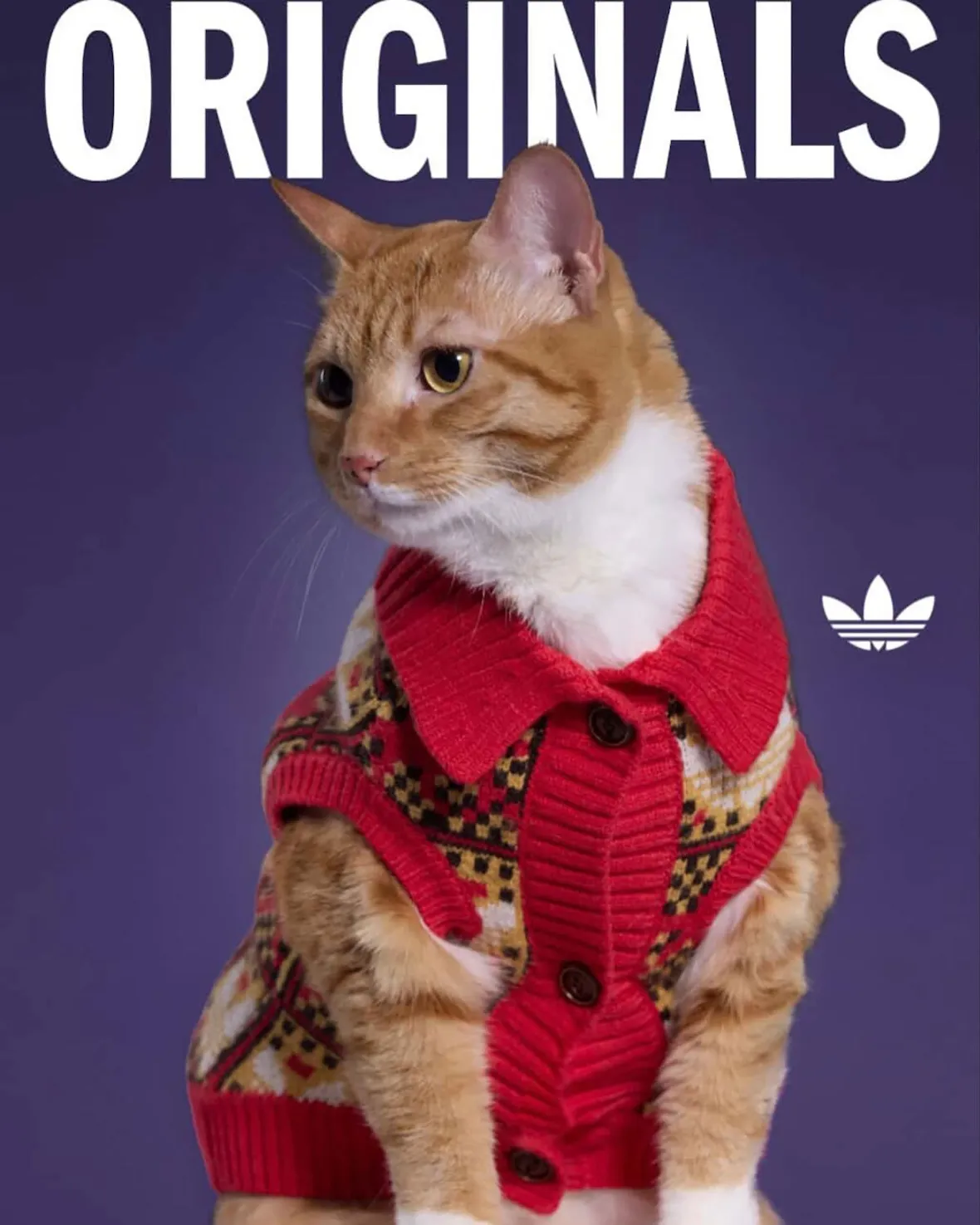 adidas Originals “Pet Collection 2026 New Year”が海外発売予定 (アディダス オリジナルス “ペットコレクション 2026年”)