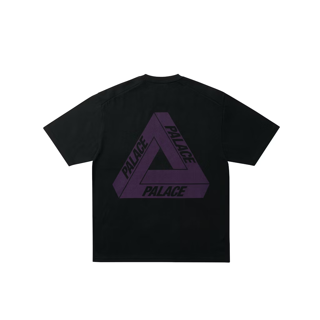 【日本限定・2025年 12/20 発売】THE NORTH FACE Purple Label x Palace Skateboards 2025 FW (ザ・ノース・フェイス パープルレーベル パレス スケートボード)
