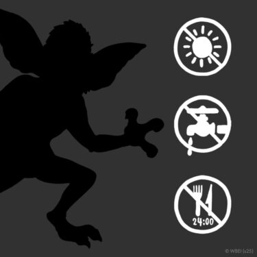 グレムリン × グラニフ 新作コラボレーションが2025年 12/17 00:00~予約開始 (graniph GREMLINS)