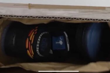 【リーク】Bluetile Skateshop x NIKE SB DUNK LOW (ブルータイル ナイキ ダンク ロー)