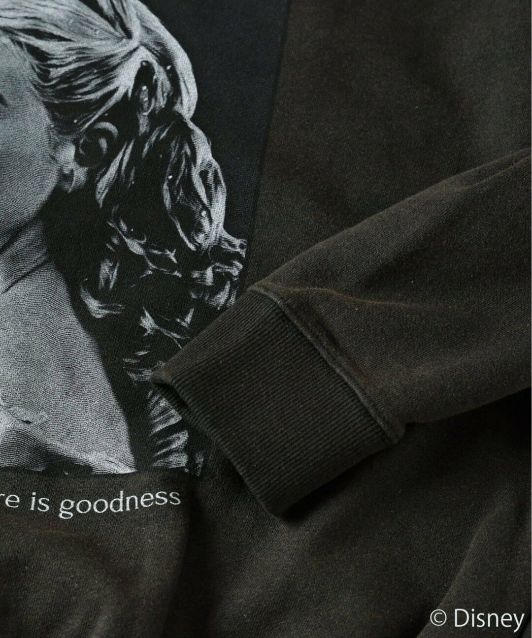 JOURNAL STANDARD relume / Disney “ライブアクション ムービースウェット”が発売 (ジャーナル スタンダード ディズニー)