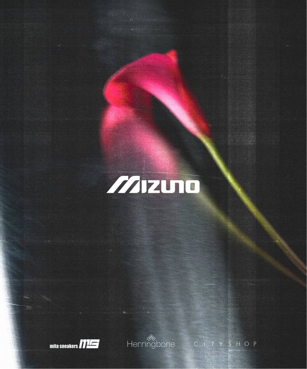 【日本国内限定カラー・2026年 2月上旬 発売】Mizuno WAVE PROPHECY LS “Silver” (ミズノ ウェーブ プロフェシー) [D1GA3337-08]