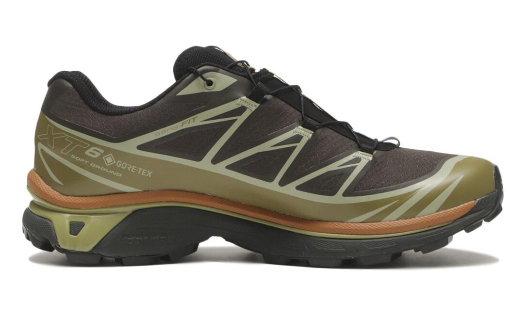 【2026年 1/30 発売】Salomon XT-6 GORE-TEX GTX “Delicioso/Tea/Plantation” (サロモン ゴアテックス) [L49202100]