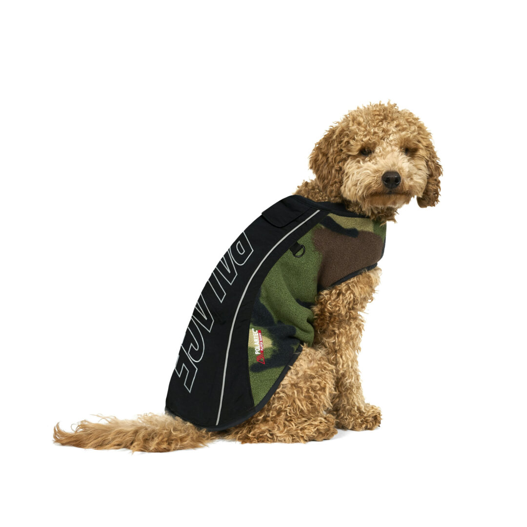 【2026年 2/7 発売】Palace Skateboards 2026 SPRING (パレス スケートボード 2026年 春/スプリング)