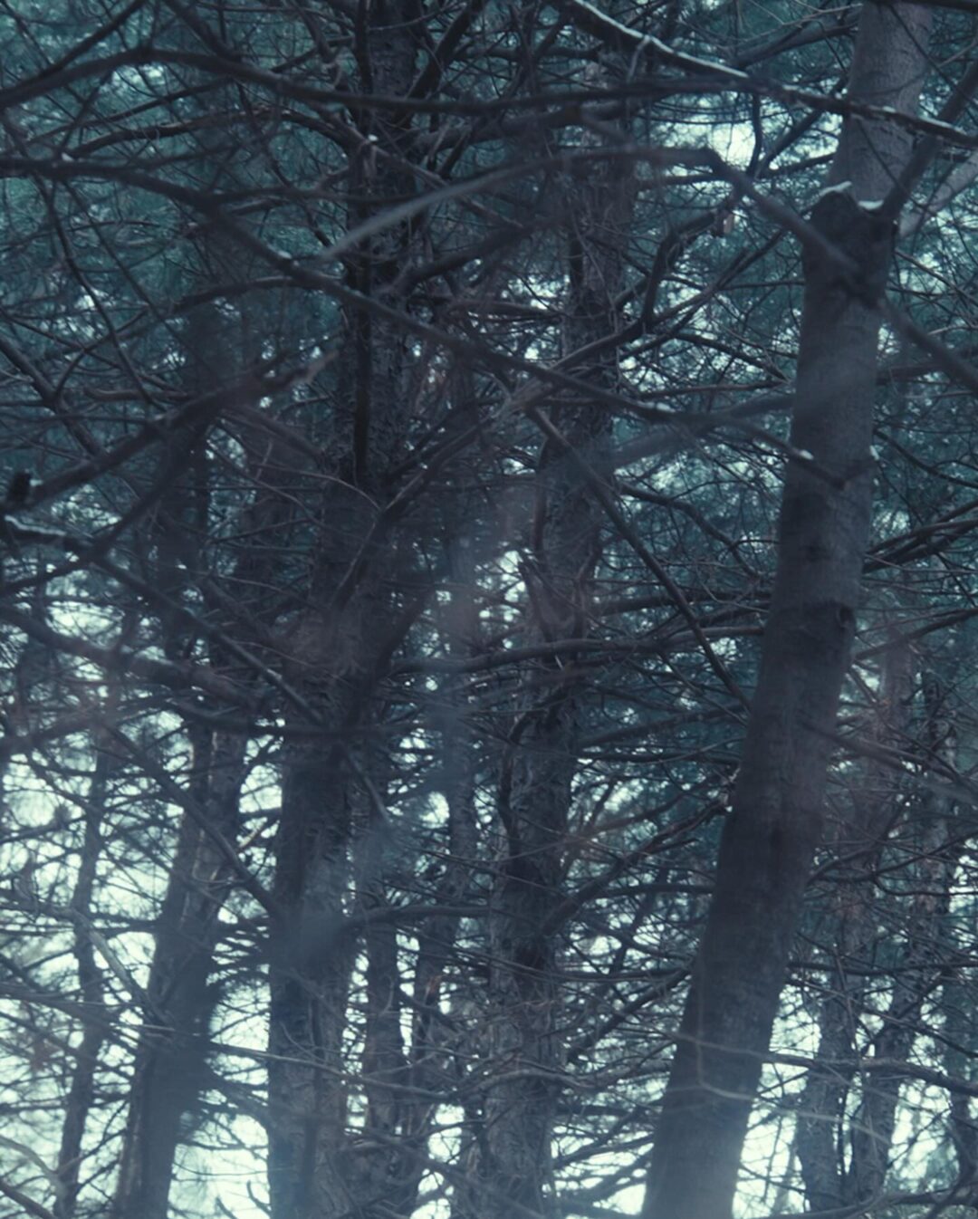 【2026年 2/28 発売】JiyongKim × PUMA V-S1 “Day & Night” (ジヨンキム プーマ ブイエスワン “デイ アンド ナイト”) [406833-01/408787-01]