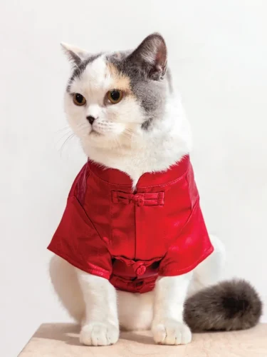 CLOT “Pet Collection 2026”が海外発売 (クロット “ペットコレクション 2026年”)