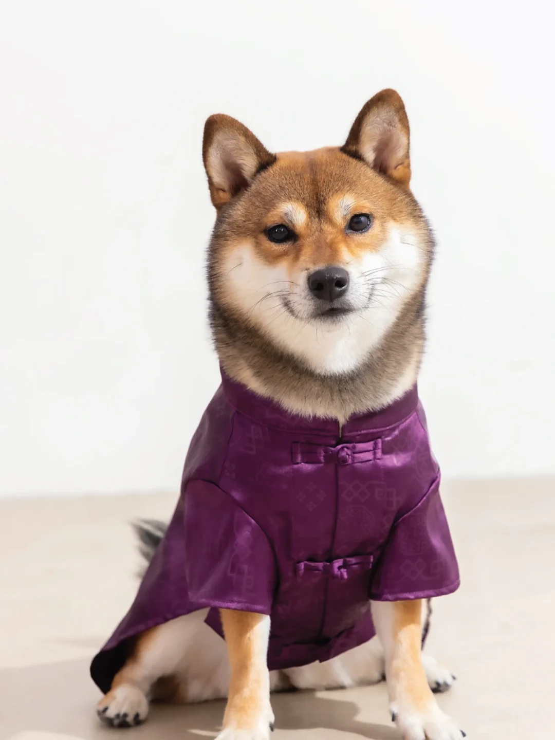 CLOT “Pet Collection 2026 SPRING”が海外発売 (クロット “ペットコレクション 2026年 春/スプリング”)