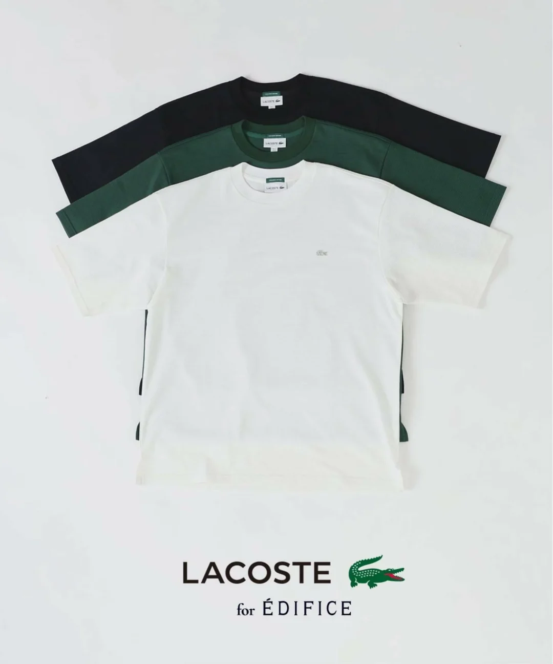 EDIFICE × LACOSTE 2026 SS 別注 ニット Tシャツが5月中旬 発売 (エディフィス ラコステ)
